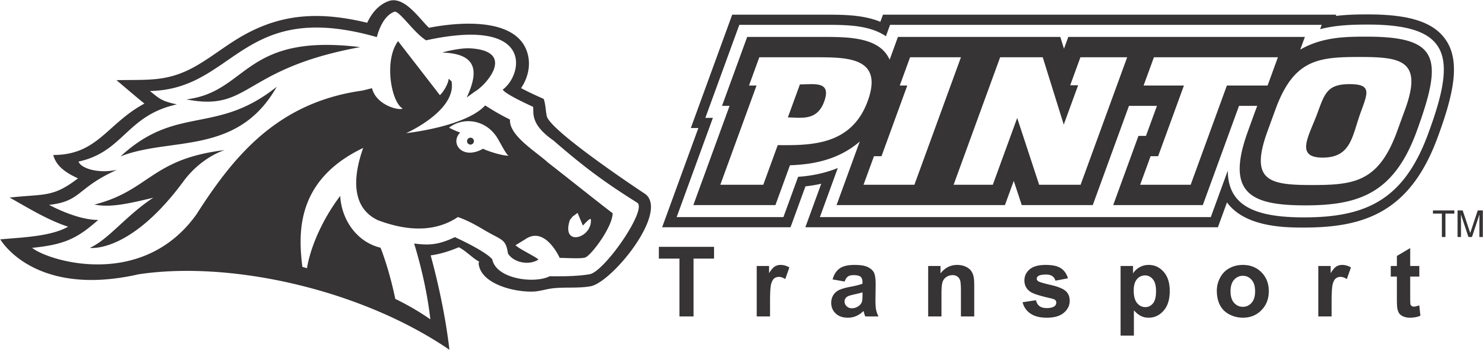 PintoTransport